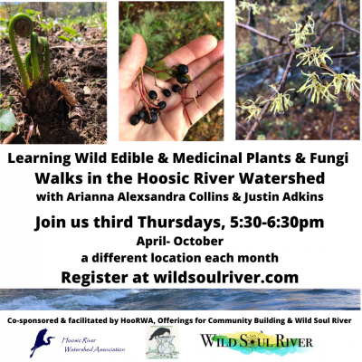 Learning About Wild Edibles in the Watershed in September