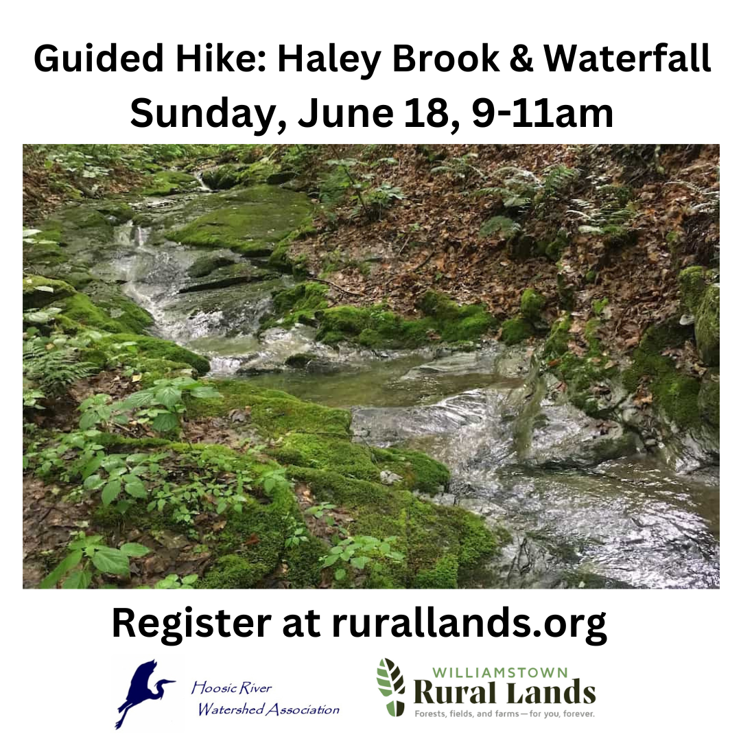 Guided Hike at Haley Brook & Waterfall with Rural Lands