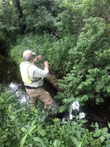Thom Gentle taking a water sample from a stream.