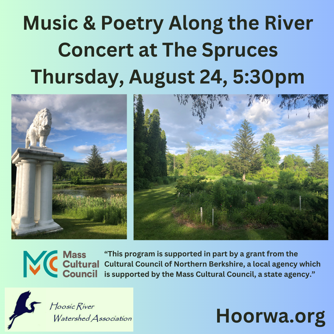 Music and poetry along the river concert
