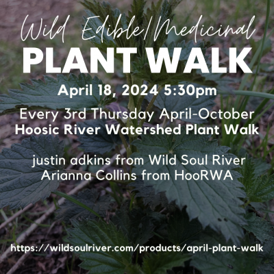 Wild Edible and Medicinal Plant Walk