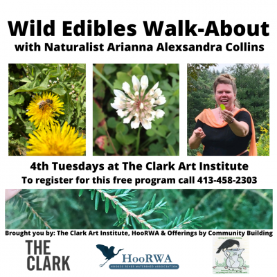 Wild Edibles Walk About at the Clark in April