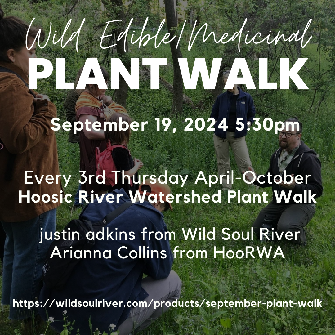 September Wild Edibles Walk