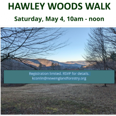 Hawley Woods Walk