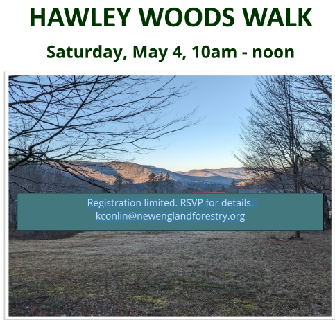 Hawley Woods Walk