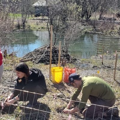 Notes from the Field: MCLA Students Learn About River Bank Stabilization