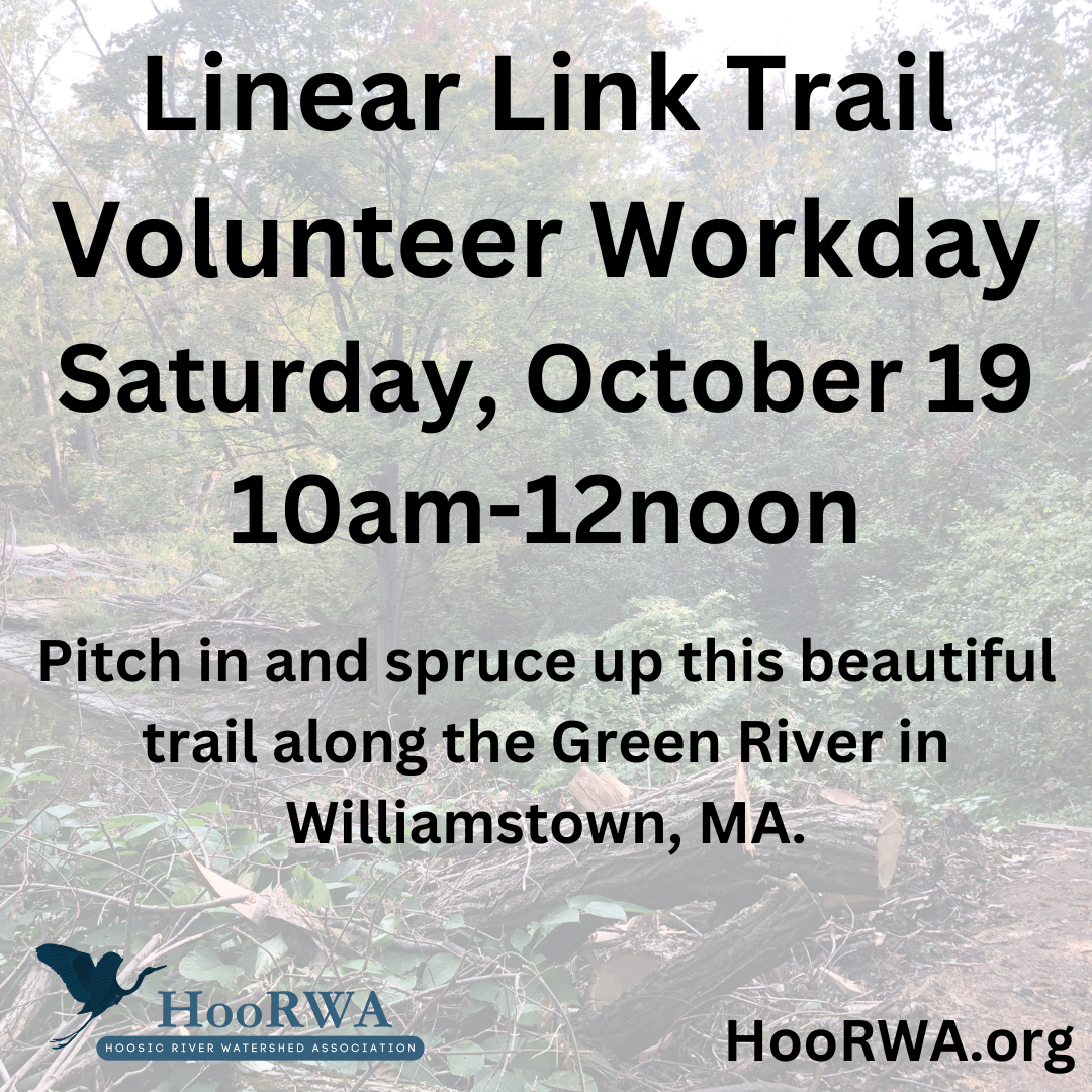 Linear Link Trail workday