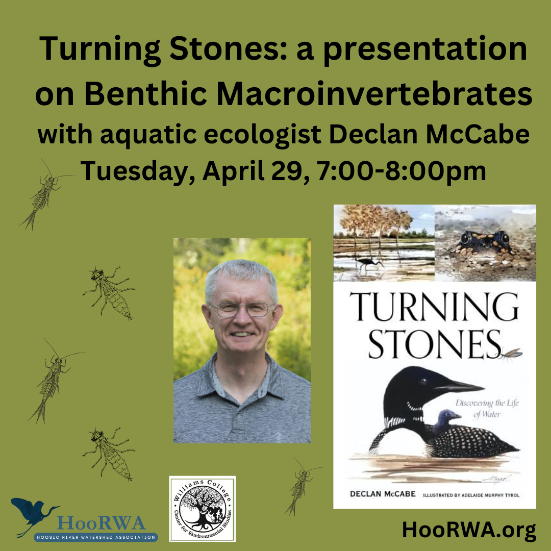 Turning-Stones a Presentation on Benthic Macroinvertebrates on April 29